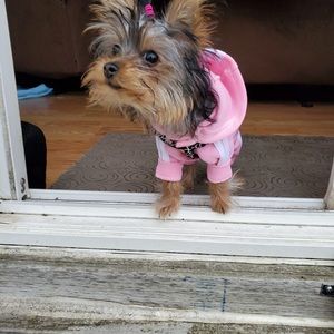 Meet your Posher, Trisha